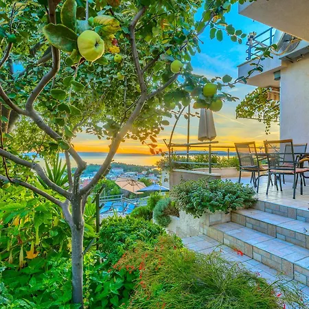 5 Bedroom Family In Makarska, Heated Pool And Jacuzzi Villa Makarska